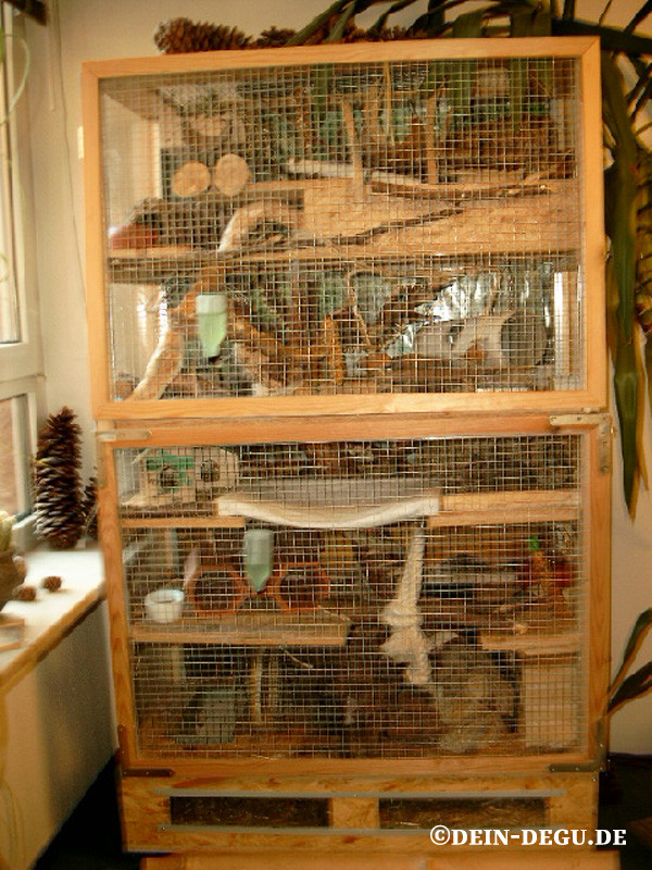 Degu enclosure discount