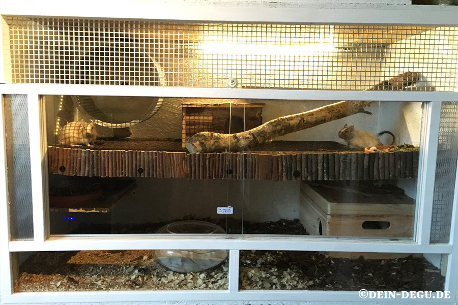 Degu Kafig Bauanleitung Zum Eigenbau Dein Degu De Degu Zucht