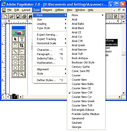 Рис. 4.6. Выбор гарнитуры в меню Туре