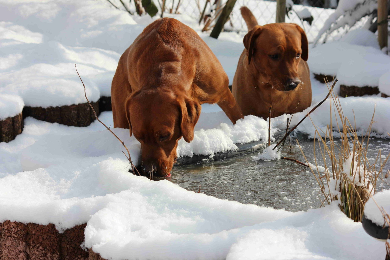 Wo ist das Wasser hingekommen?