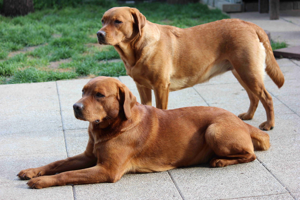 Mai 2013: endlich Sonne, endlich im Garten.