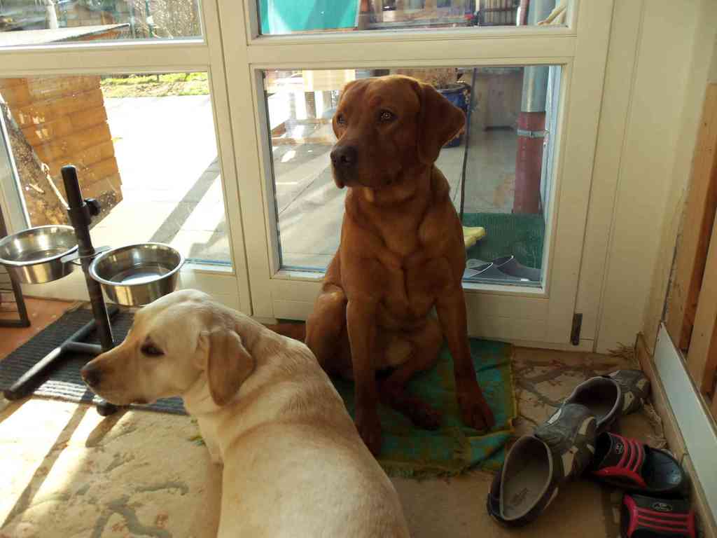 Wie alles begann: Jonny liebt Bounty, Bounty liebt Jonny.