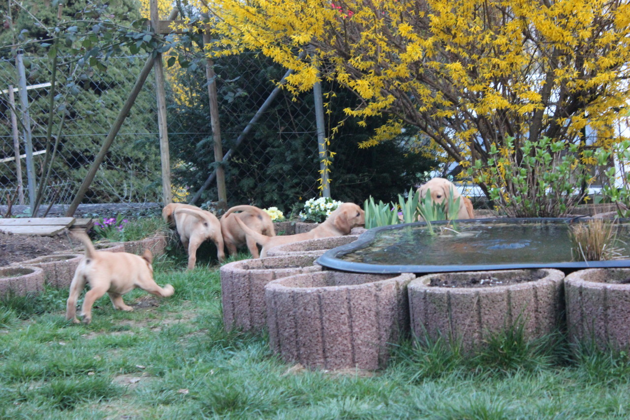 Letzter gemeinsame Ausflug im Garten, denn dieses Wochenende gehen fast alle zu ihren Familien.