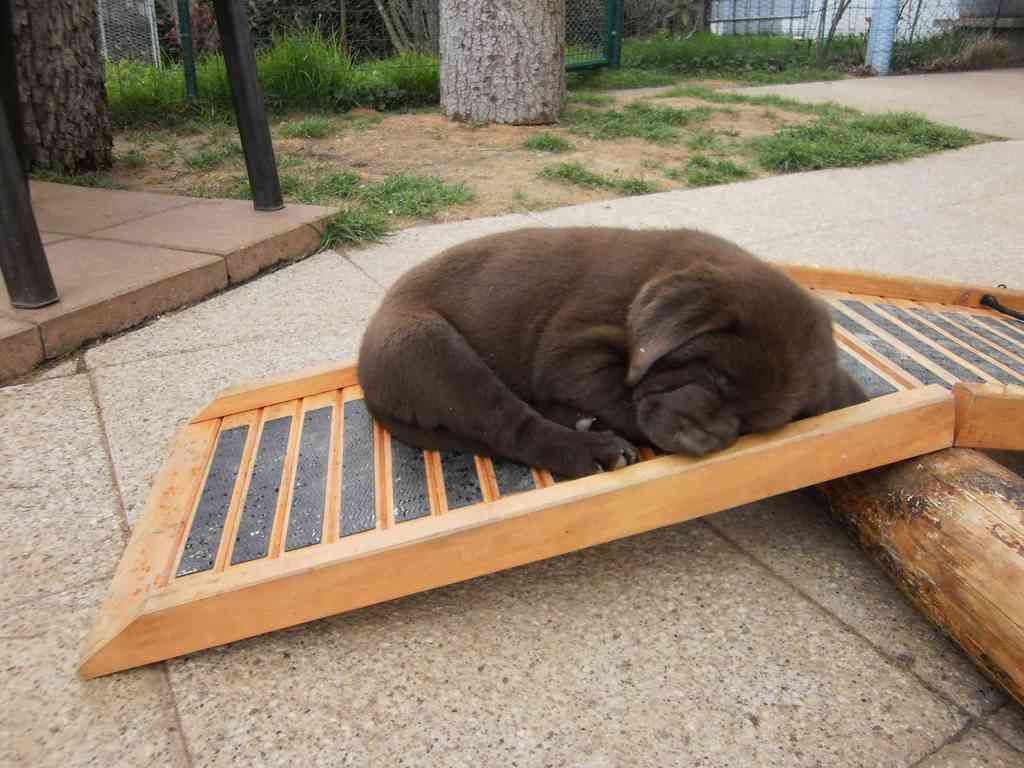 Hochwärts ist sehr anstrengend. Erst mal ausruhen, bevor es wieder bergab geht.