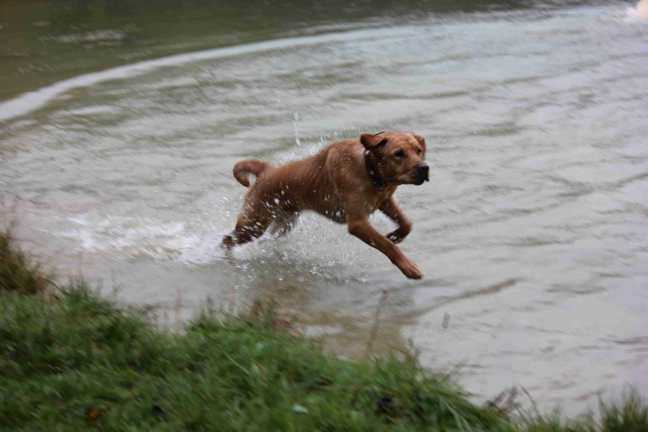 Sancho, der auf dem Wasser läuft.