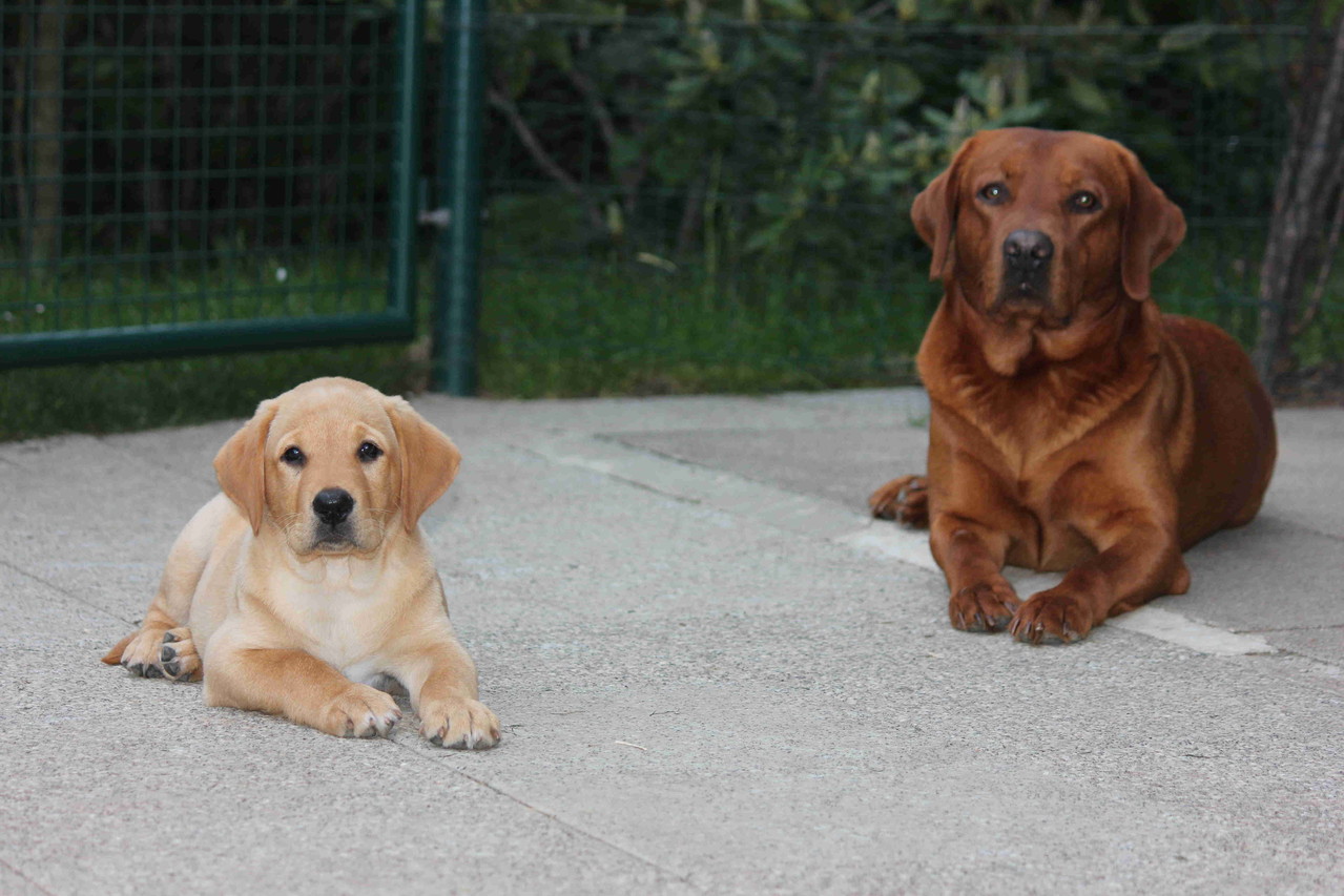 Frodo und sein Papa.