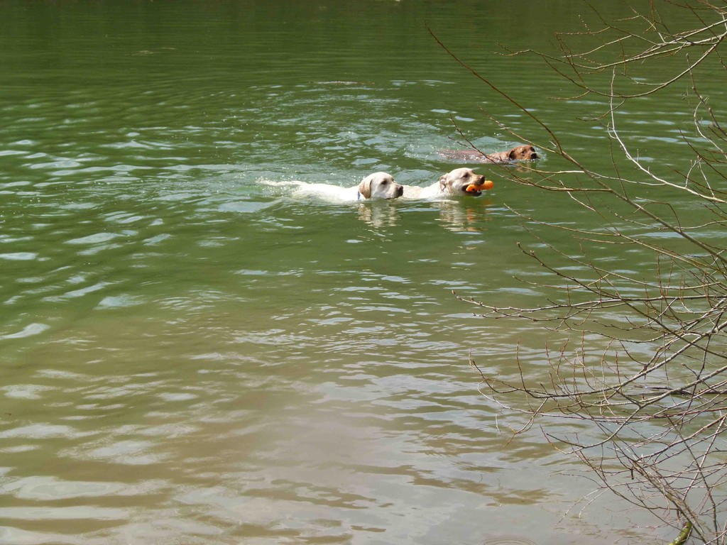 ... Formationsschwimmen ist für uns kein Problem.