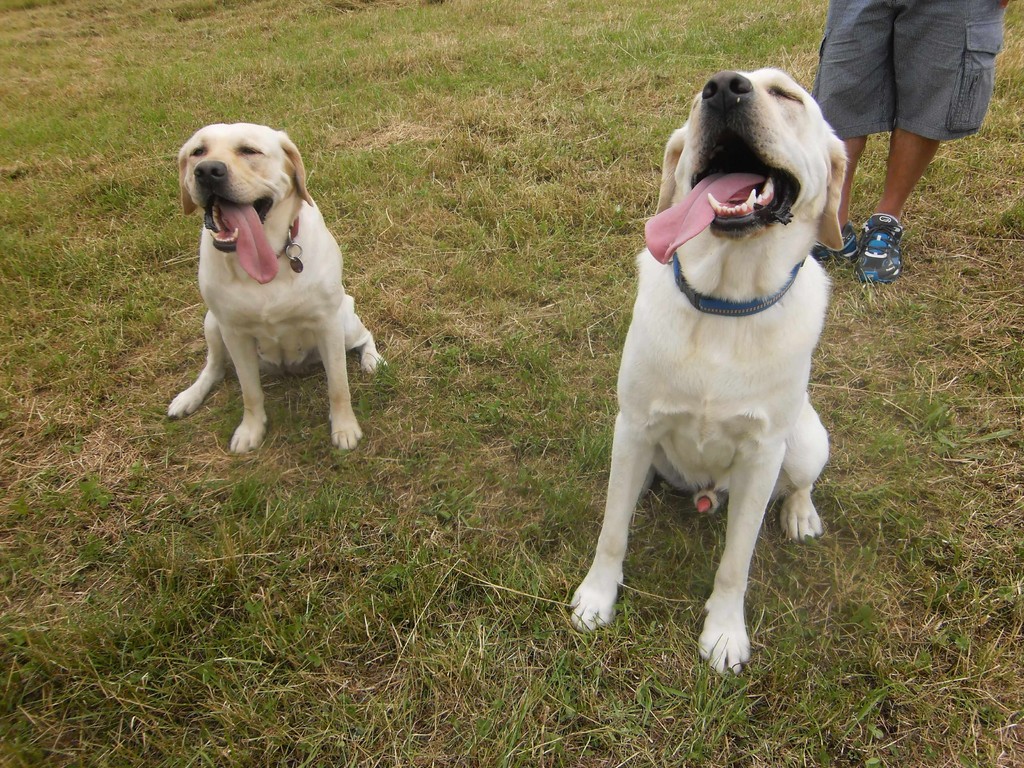 Und ich bin der Amigo mit meiner Mama Stella.