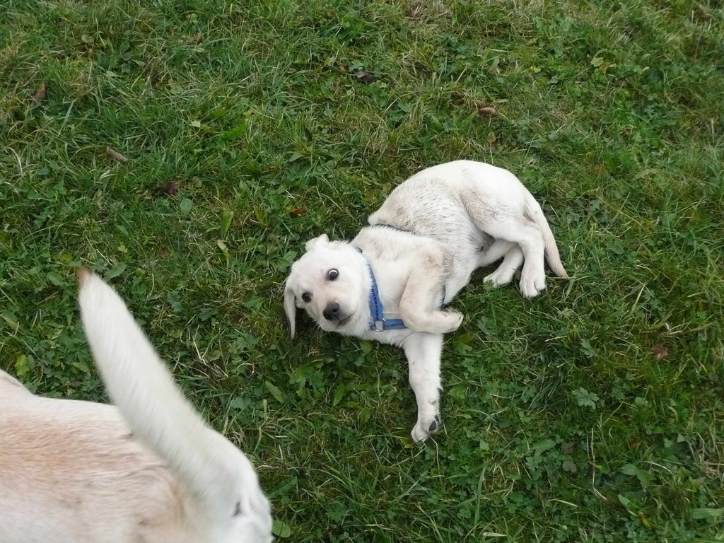 Nochmals Glück gehabt.