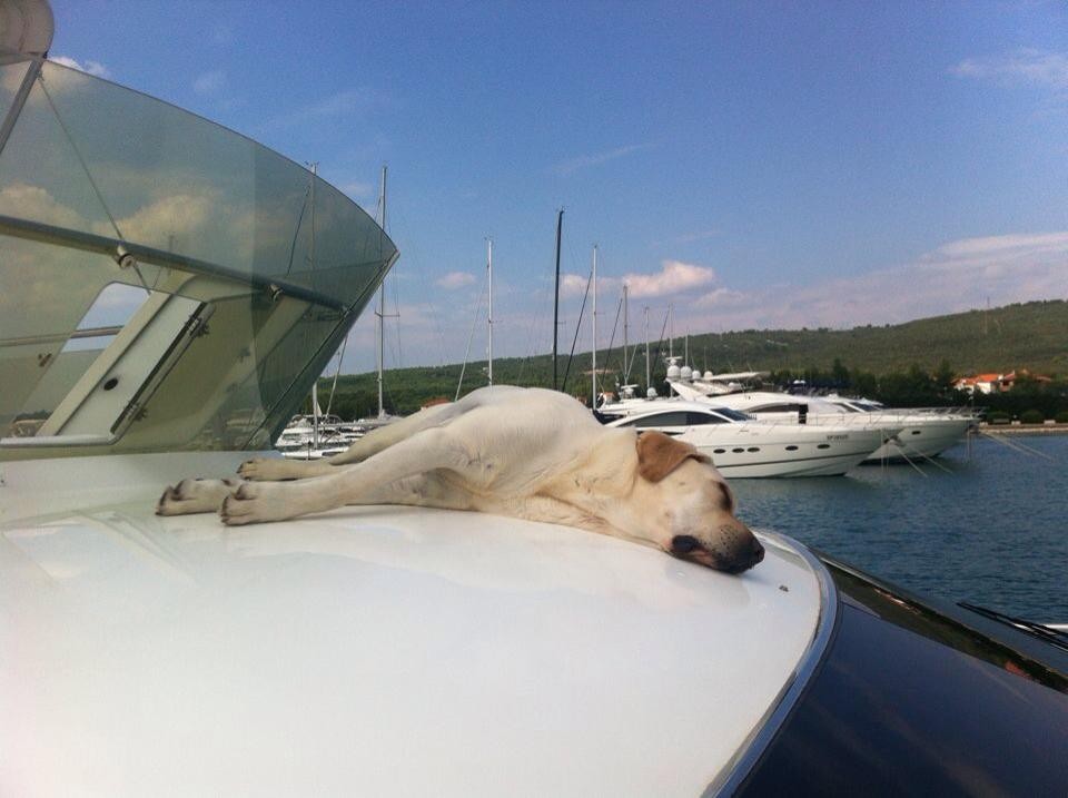 August 2014: Jeder Platz ist gut zum Chillen.