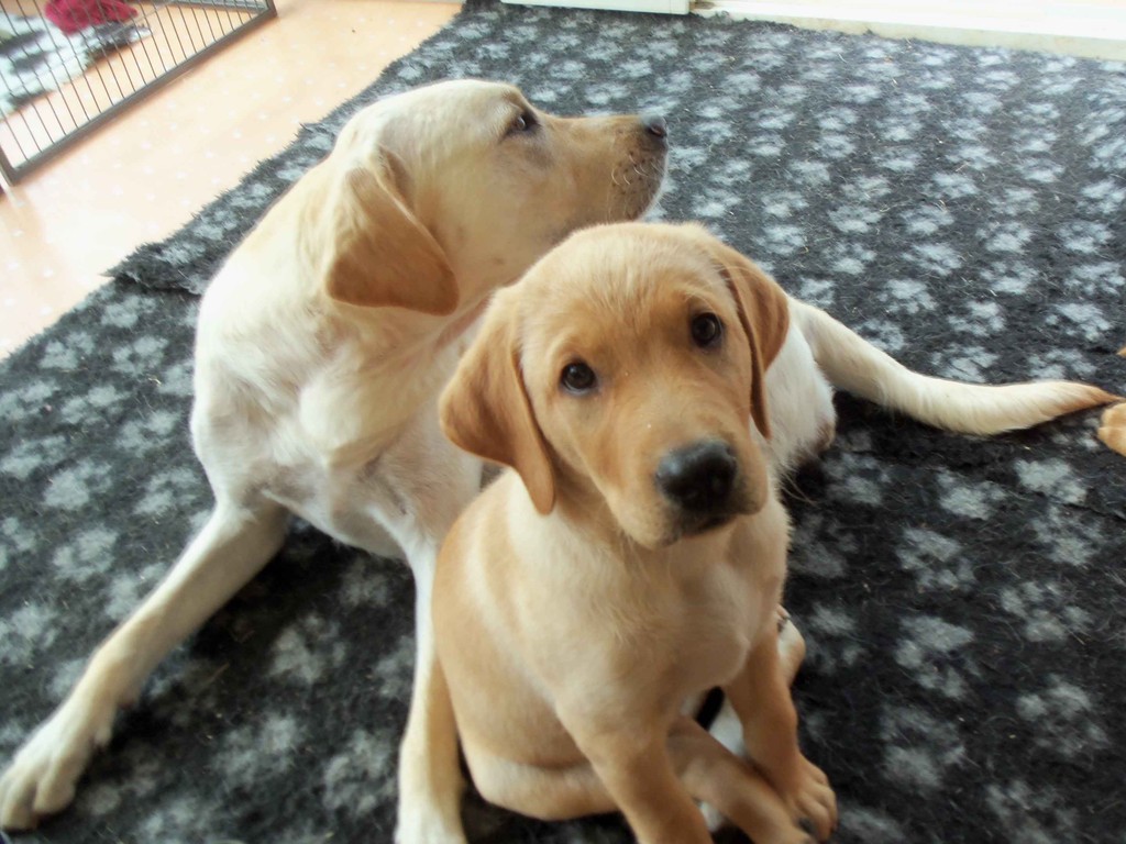 Kuscheln mit Mammi macht am meisten Spaß.