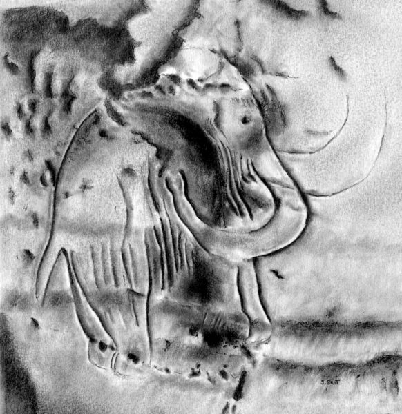 Paroi gravée d'un mammouth après l'intervention de l'artiste (Grotte des Combarelles, Dordogne