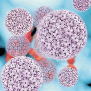 HPV - humani papiloma virus - Centar zdravlja