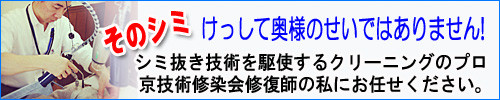 そのシミ、決して奥様のせいではありません。京技術染修会修復師の私にお任せください。