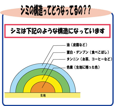 衣類の染みの構造を図解しています。