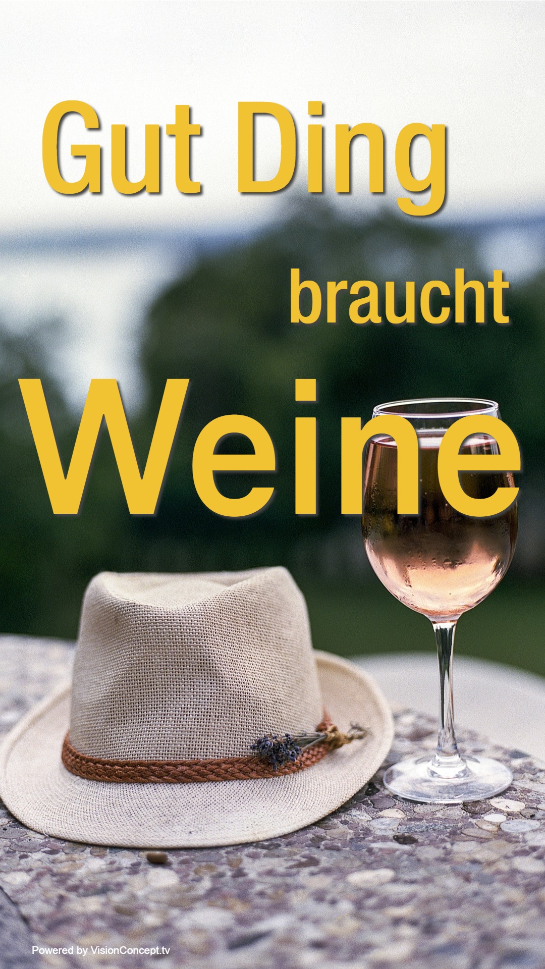 Gut Ding braucht Weine