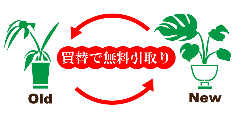 明朗会計で処分に困った観葉植物を引き取りエリアは東京都23区エリアで、１鉢1,650円（税込）で出張費は一律2,200円（税込）