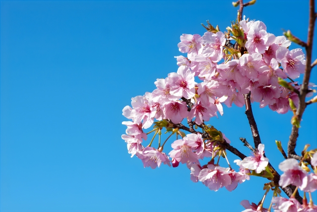 2026年春の結果です