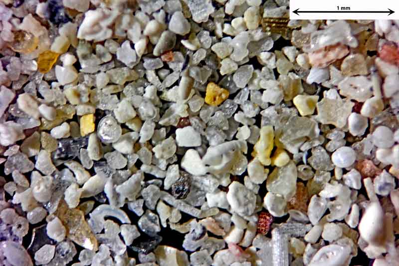 Bild 1 Sand aus Santanyi-Mallorca/Spanien, vom Badestrand Objektiv Zeiss Plan 2,5/o,o8 Auflicht