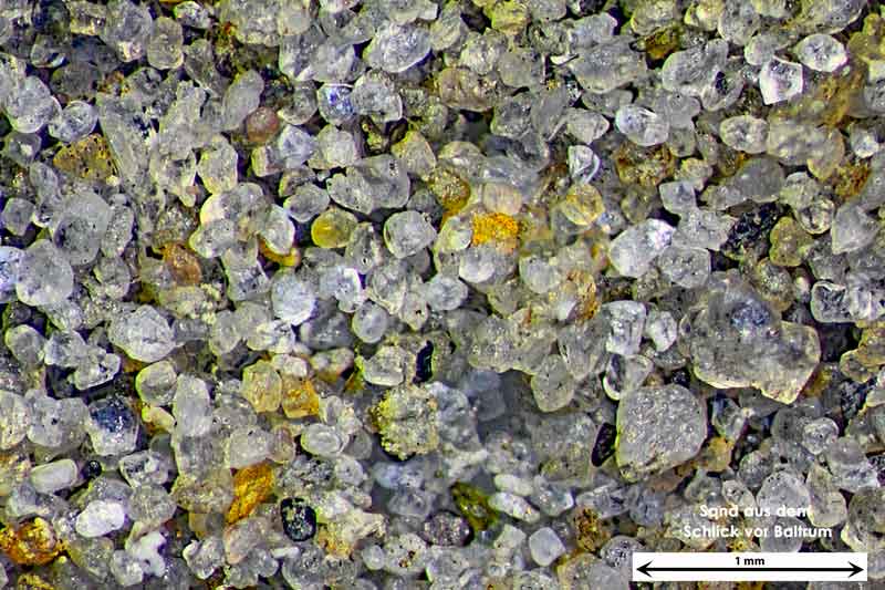 Bild 1 Sand aus Baltrum/Deutschland aus dem Wattbereich, Objektiv Zeiss Plan 2,5/o,o8 Auflicht