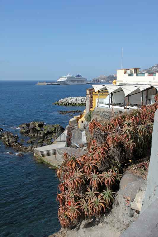 Bild 17 Blick auf die Küste von Funchal