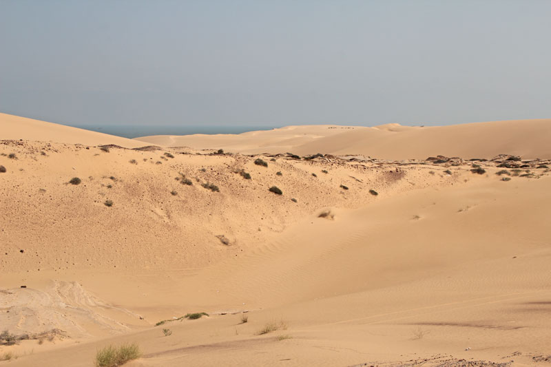 Bild 8 Blick auf die Wüste 