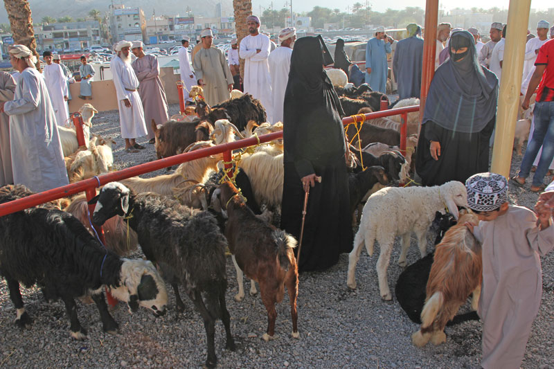 Bild 7 Viehmarkt in Nizwa, die Frauen entscheiden was gekauft wird