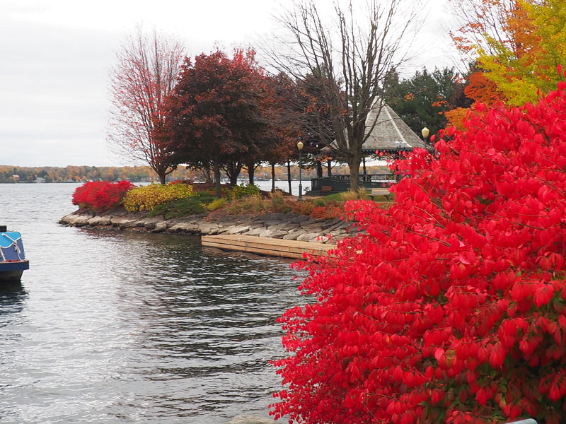 Bild 3 Herbststimmung in Brockville am St. Lorenz