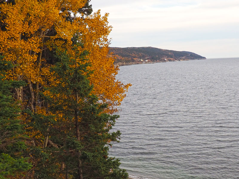 Bild 11 Immer an der Küste entlang zum Cap Gaspe