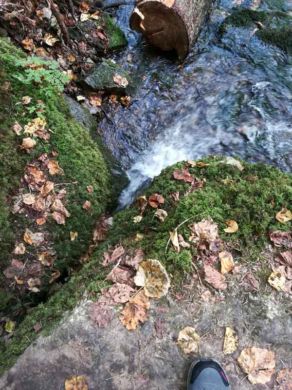 Schwarzwald, Wutach, Gauchach, Engeschlucht, Donaueschingen