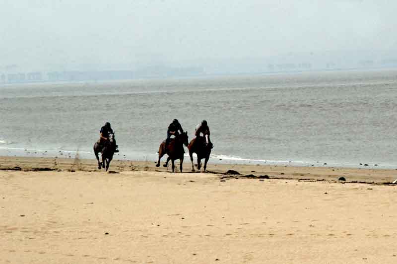 Bild 6 Pferdeausreiten am Strand von Dragey Ronthon