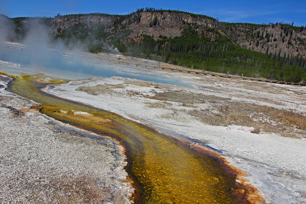 Bild 14 Geysire und heiße Dämpfe am Biscuit Basin im Yellowstone NP