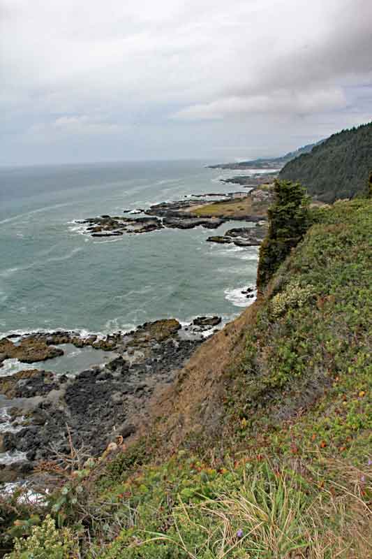 Bild 6 Weiter auf der 101 in den Süden in Oregon, immer wieder tolle Blicke aufs Meer