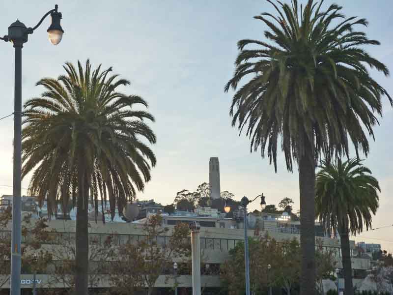 Bild 22 Blick auf den Coit Tower auf dem Telegraph Hill in San Francisco