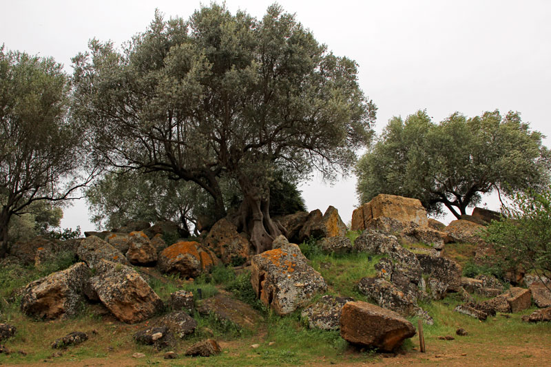 Bummel durch die Tempelanlage von Agrigento