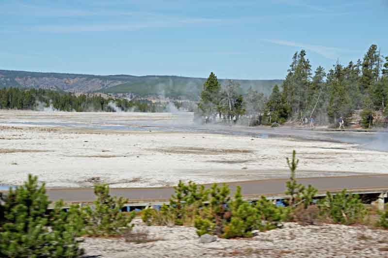 Bild 10 Blick auf die Landschaft am Biscuit Basin im Yellowstone NP