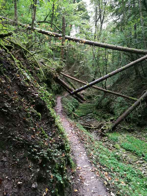 Schwarzwald, Wutach, Gauchach, Engeschlucht, Donaueschingen