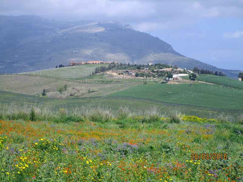 Blick ins Tal von Segesta