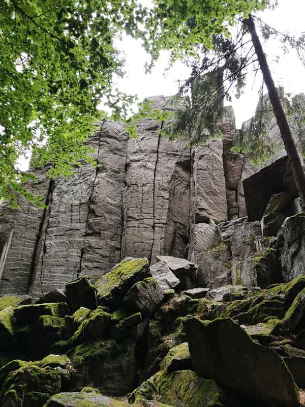 Bild 3 Felsformationen in der Steinwand