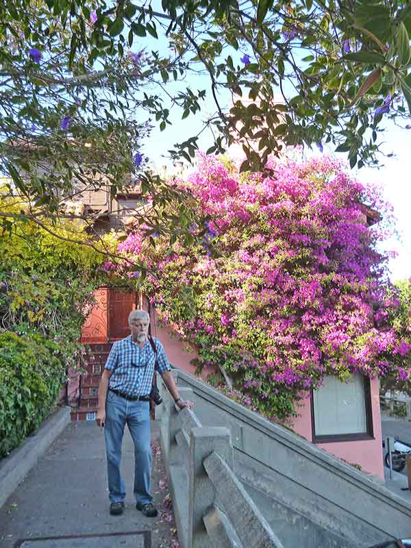 Bild 20 Verschnaufen beim Aufstieg zum Coit Tower auf dem Telegraph Hill