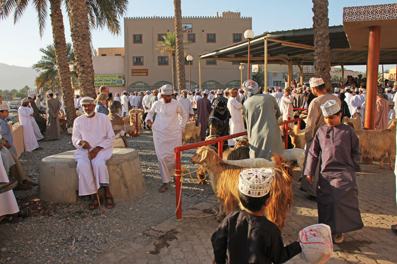 Bild 10 Viehmarkt in Nizwa