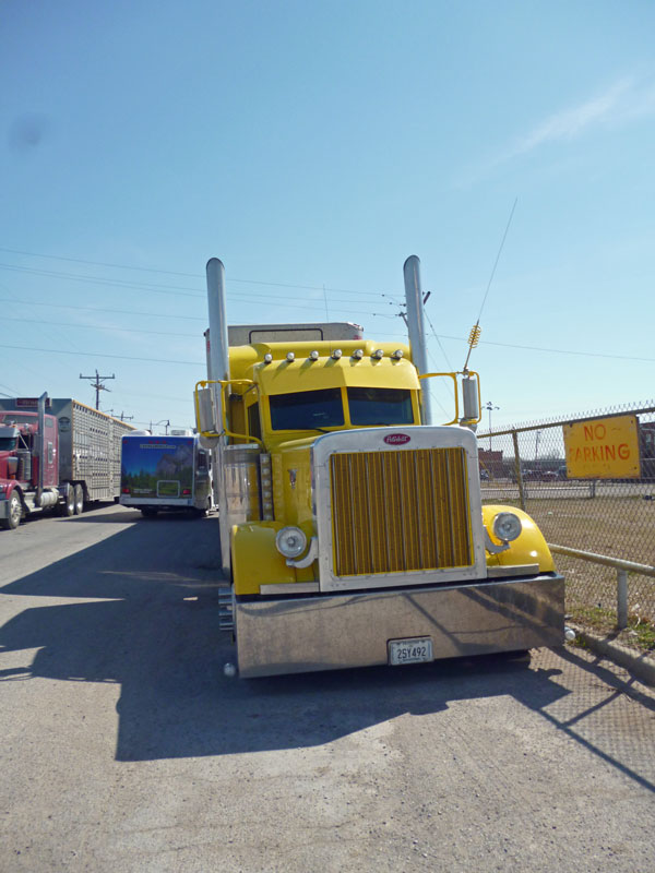 Bild 13 Truck auf dem Stockyard Gelände