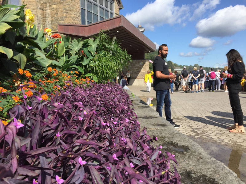 Bild 20 Vor dem Besucherzentrum an den Niagara Falls