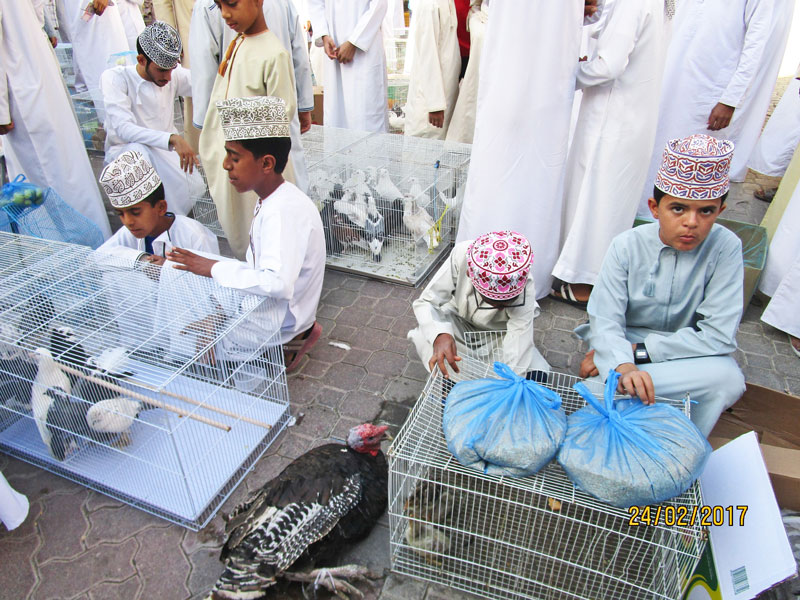 Bild 16 Im Souk in Nizwa verkaufen KInder die kleinen Tiere