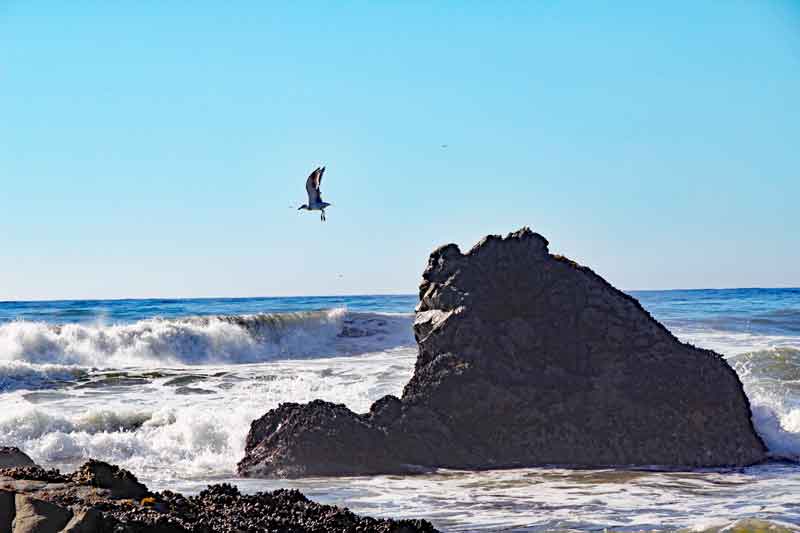 Bild 28 Zwischen den Felsen am Strand