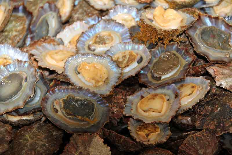 Bild 33 Der Fischmarkt ist wirklich sehenswert