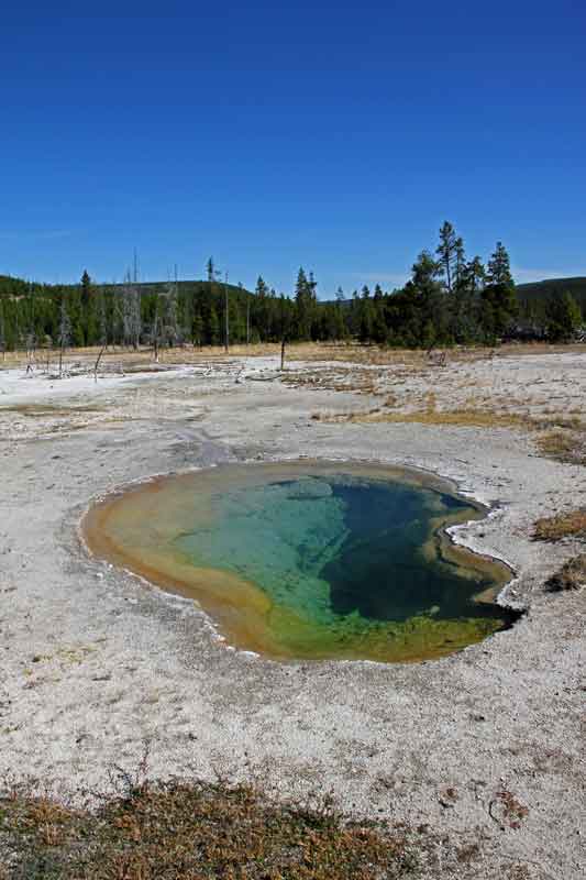 Bild 11 Geysire und heiße Dämpfe am Biscuit Basin im Yellowstone NP