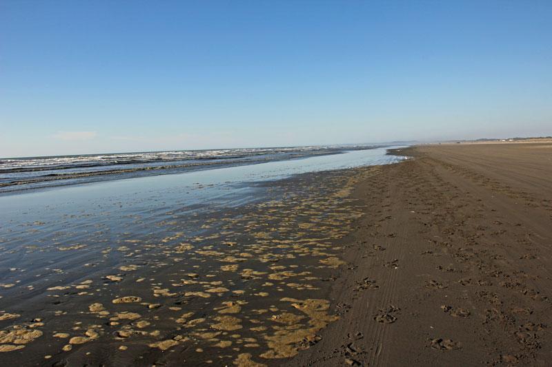 Bild 18 Strandwanderung am Ocean City Campground