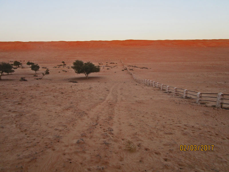 Bild 17 Blick auf die Wüste 1000 nights camp