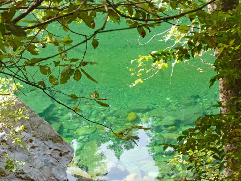 Bild 9 Die Bäume spiegeln sich im Wasser